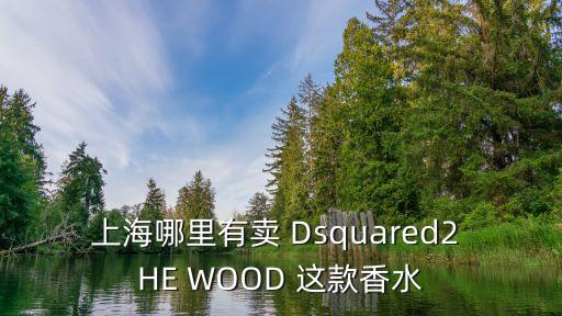 上海哪里有賣 Dsquared2 HE WOOD 這款香水