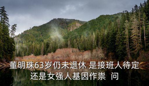 董明珠63歲仍未退休 是接班人待定還是女強人基因作祟  問