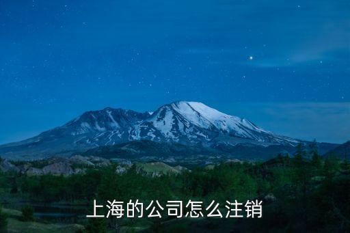 上海市注銷公司營業(yè)執(zhí)照，上海的公司怎么注銷