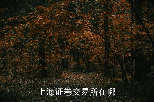上海市中信證券交易所，上海哪里有中信證券在什么路
