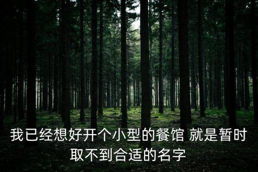 我已經想好開個小型的餐館 就是暫時取不到合適的名字