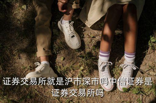 證券交易所就是滬市深市嗎中信證券是證券交易所嗎