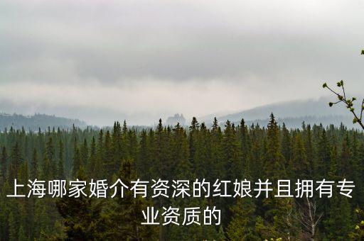 上海哪家婚介有資深的紅娘并且擁有專業(yè)資質(zhì)的