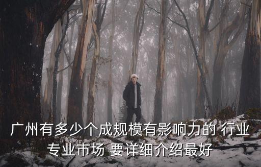 廣州市場規劃圖，廣州有多少個成規模有影響力的 行業專業市場 要詳細介紹最好