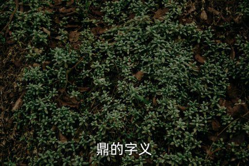 鼎的意思，鼎的字義
