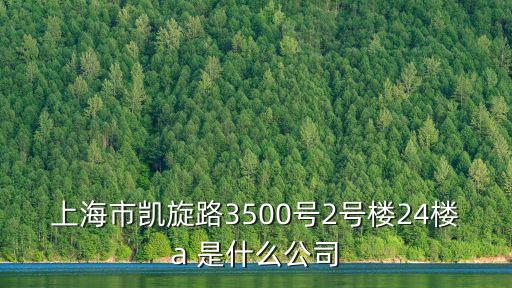 上海市凱旋路3500號2號樓24樓a 是什么公司