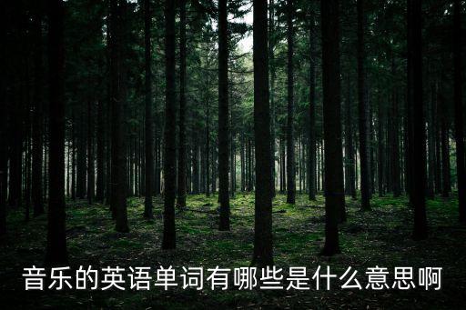 音樂的英語單詞有哪些是什么意思啊