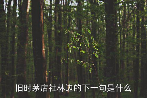 舊時茅店社林邊的下一句是什么