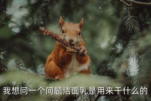 我想問一個問題潔面乳是用來干什么的