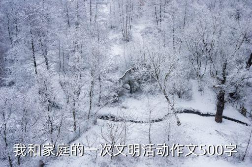 和家庭，寫一篇我和家庭的一次文明行動的作文300字