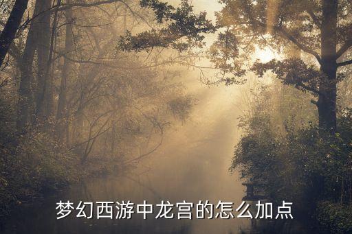 夢(mèng)幻西游龍宮加點(diǎn)，夢(mèng)幻龍宮怎么加點(diǎn)