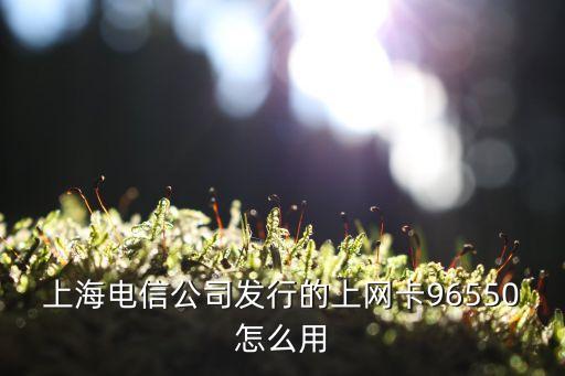 上海市中國電信流量卡，上海電信的19元新星卡套餐好用嗎