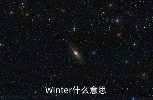 winter，Winter什么意思