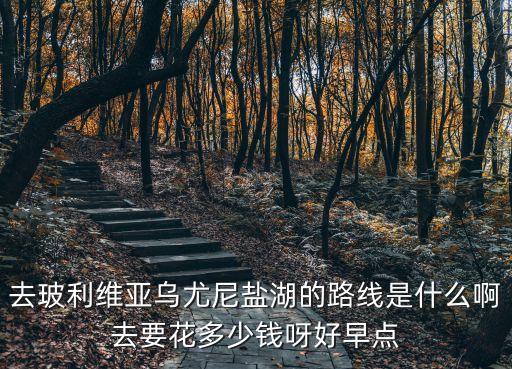 玻利維亞旅游，過年去玻利維亞旅游好嗎價格貴不母女游安全方便