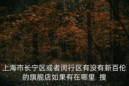 上海市長寧區或者閔行區有沒有新百倫的旗艦店如果有在哪里  搜