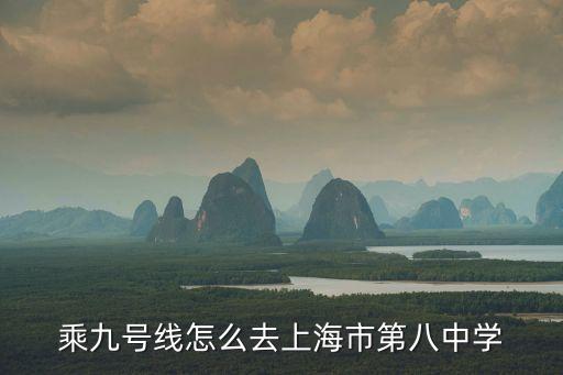 乘九號線怎么去上海市第八中學