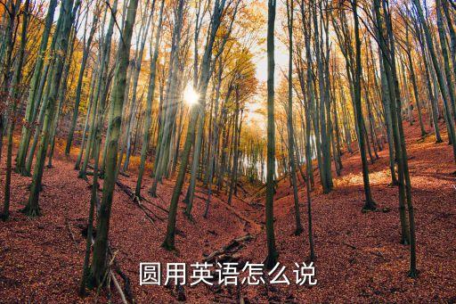 圓的英語，圓的英文怎么讀還有音標