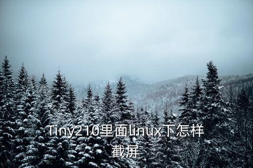 Tiny210里面linux下怎樣截屏
