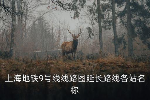 上海地鐵9號線線路圖延長路線各站名稱