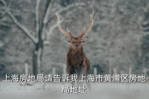 上海房地局請告訴我上海市黃浦區房地局地址