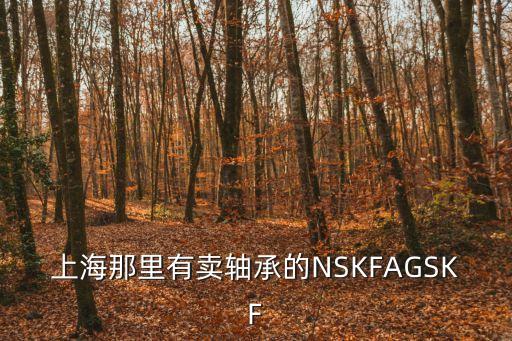 上海那里有賣(mài)軸承的NSKFAGSKF