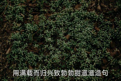 用滿載而歸興致勃勃甜滋滋造句