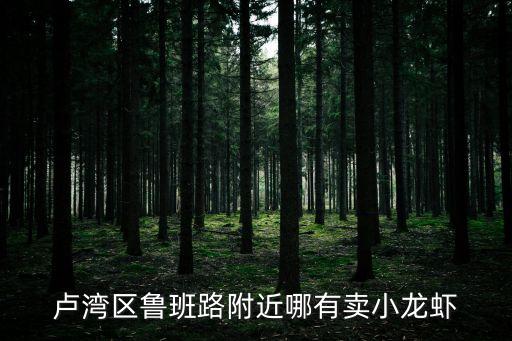 上海市炫品小龍蝦，盧灣區(qū)魯班路附近哪有賣小龍蝦