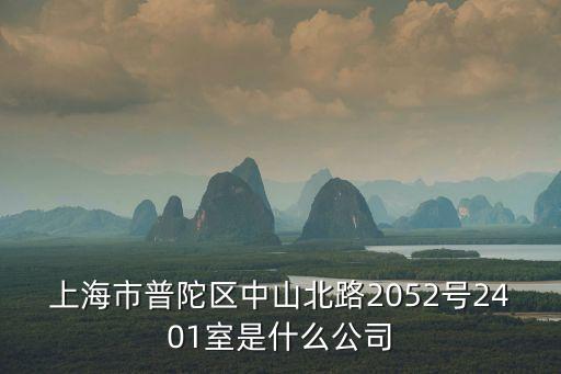 上海市洋鑫實業公司，上海市普陀區中山北路2052號2401室是什么公司