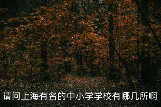 請(qǐng)問(wèn)上海有名的中小學(xué)學(xué)校有哪幾所啊