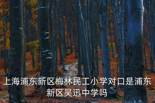 上海市南匯區周浦鎮沈西村梅林，上海周浦有羊毛衫廠嗎