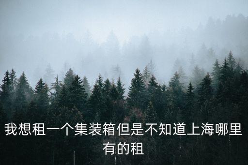 上海市倉庫集裝箱租賃，我想租一個集裝箱但是不知道上海哪里有的租