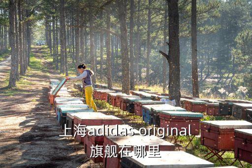 上海市東方萬匯，上海市黃浦區黃陂北路227號中區廣場18樓
