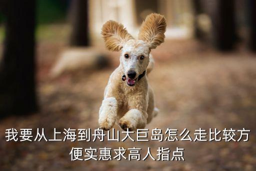 上海市到舟山大巨島多少公里，上海到舟山多遠