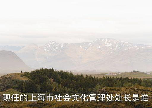 上海市科級干部公示，現任的上海市社會文化管理處處長是誰