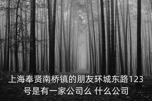 上海奉賢南橋鎮的朋友環城東路123號是有一家公司么 什么公司