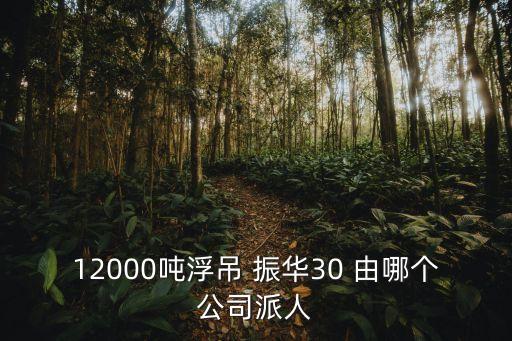 振華30，要換手機屏幕多少錢
