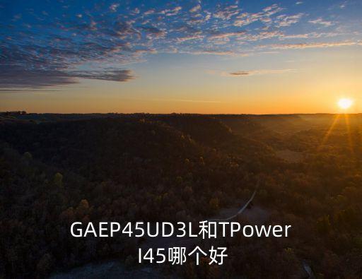 GAEP45UD3L和TPower I45哪個好