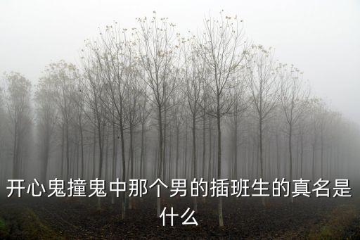 開心鬼撞鬼中那個男的插班生的真名是什么