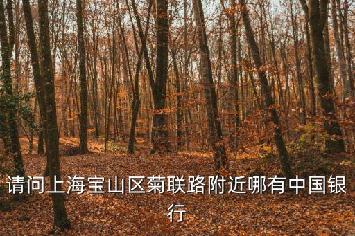 請問上海寶山區菊聯路附近哪有中國銀行