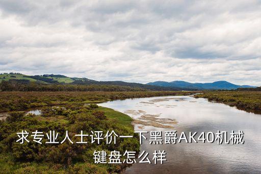 黑爵鍵盤怎么樣，求專業人士評價一下黑爵AK40機械鍵盤怎么樣