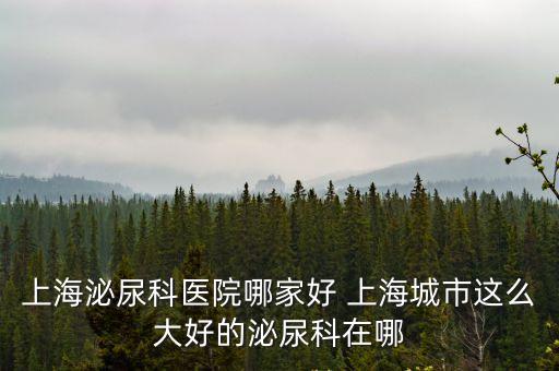 上海市肖立新醫(yī)生，上海泌尿科醫(yī)院哪家好 上海城市這么大好的泌尿科在哪