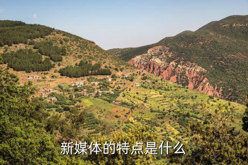 新媒體的特征，新媒體的特點是什么請大神給說一下謝謝