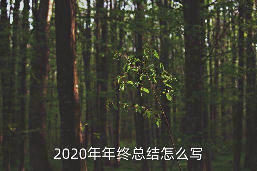 2020年年終總結怎么寫