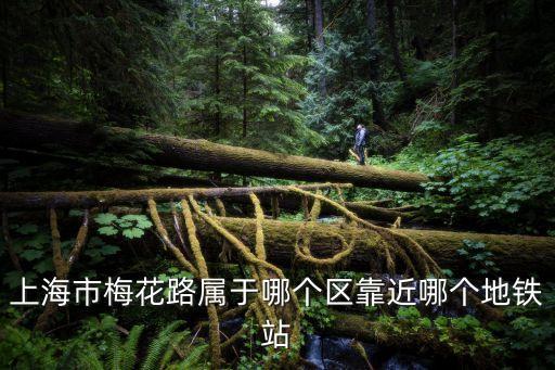 上海市梅花路屬于哪個區(qū)靠近哪個地鐵站