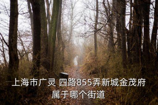上海市廣靈，廣靈有建行嗎