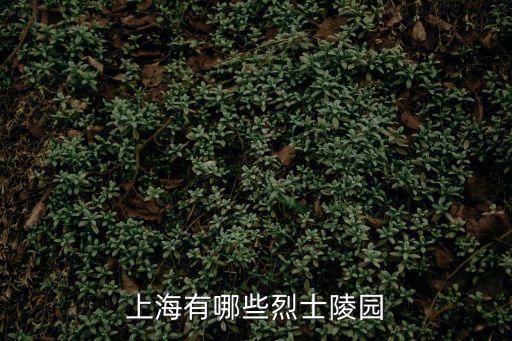 上海有哪些烈士陵園