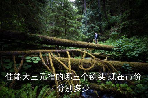 佳能大三元鏡頭，佳能大三元指的哪三個鏡頭 現在市價分別多少