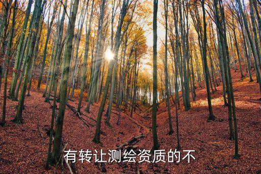上海市測繪資質(zhì)變更法人，上海虹口區(qū)公司變更法人需要什么流程