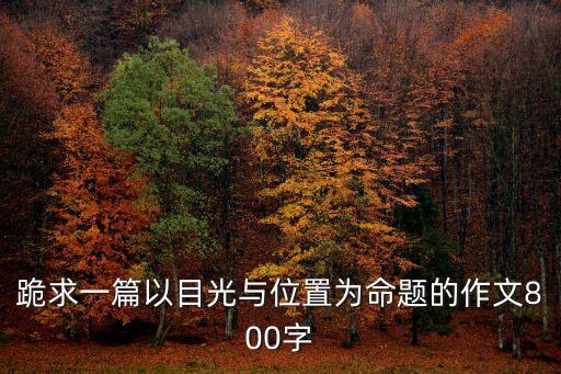 位置作文，請以位置為話題寫一篇作文立意自定題目自擬不少于600