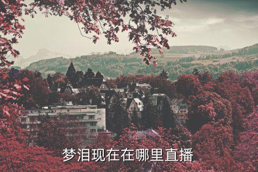 kpl直播，王者榮耀夢淚在哪直播